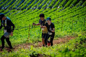 BIB: 
                            <button type="button" onclick="openModal(19162761)" class="btn btn-primary btn-sm float-right btn-popup" data-toggle="modal" data-target=".modal-high-quality">
                        <i class="fas fa-shopping-cart"></i> Add to Cart
                    </button>
                                            <button type="button" onclick="isThisMe(19162761, true)" class="btn btn-success btn-sm float-right btn-popup btn-isme hidden" data-toggle="tooltip" data-placement="bottom" title="นี่คือรูปของคุณใช่ไหม คลิกที่นี่เพื่อเอาเข้าอัลบั้ม">
                        <i class="fas fa-plus"></i> Add to album
                    </button>
                    <button type="button" onclick="isThisMe(19162761, false)" class="btn btn-warning btn-sm float-right btn-popup btn-isnotme hidden">
                        <i class="fas fa-ban"></i> Remove from album
                    </button>